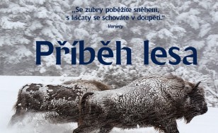 PRIBEHLESA